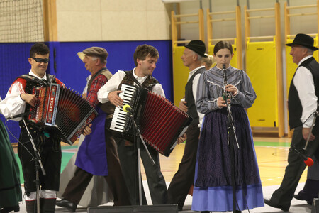 Folklorni festival 14 Foto Ljubo Vukelič